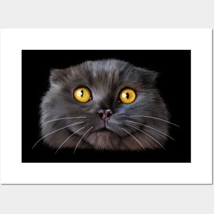 Funny Scottish Fold Face, Cat Lover Posters and Art